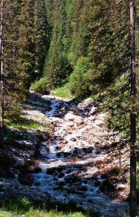 Ruisseau des Gravelles le foron